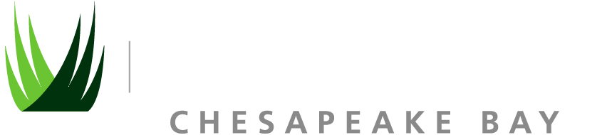 CHESAPEAKE BAY SYNTHETIC LANDSCAPES, LLC logo
