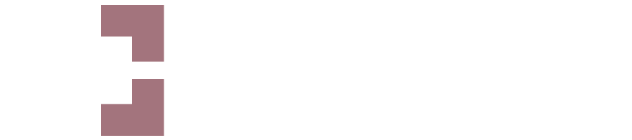 CHESTNUT HOLDINGS OF NEW YORK, INC logo