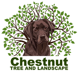 CHESTNUT TREE AND LANDSCAPE LLC logo