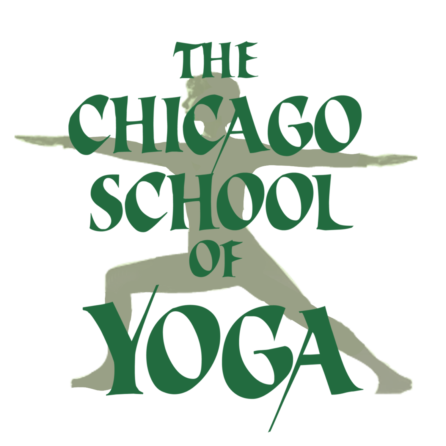 CHICAGO SCHOOL OF HOT YOGA, INC THE logo