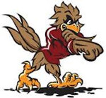 CHICKEN HAWK TRANSPORT LLC logo