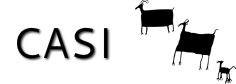 CHIPETA ARCHAEOLOGICAL INVESTIGATIONS LLC logo