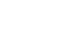 CHIRAL TECHNOLOGIES INC logo