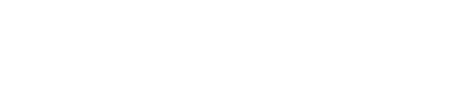CHIRON TECHNOLOGY SERVICES INC logo