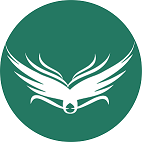 CHISARA VENTURES INC logo