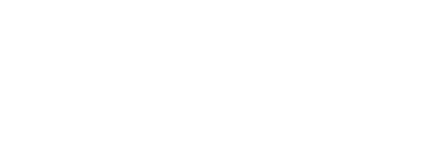 CHOKSI INC. logo
