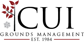 CHORES UNLIMITED INC logo
