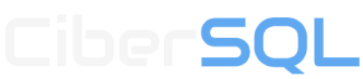 CIBERSQL, LLC logo