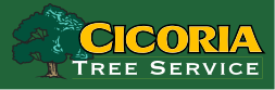 CICORIA TREE & CRANE SERVICE, INC logo