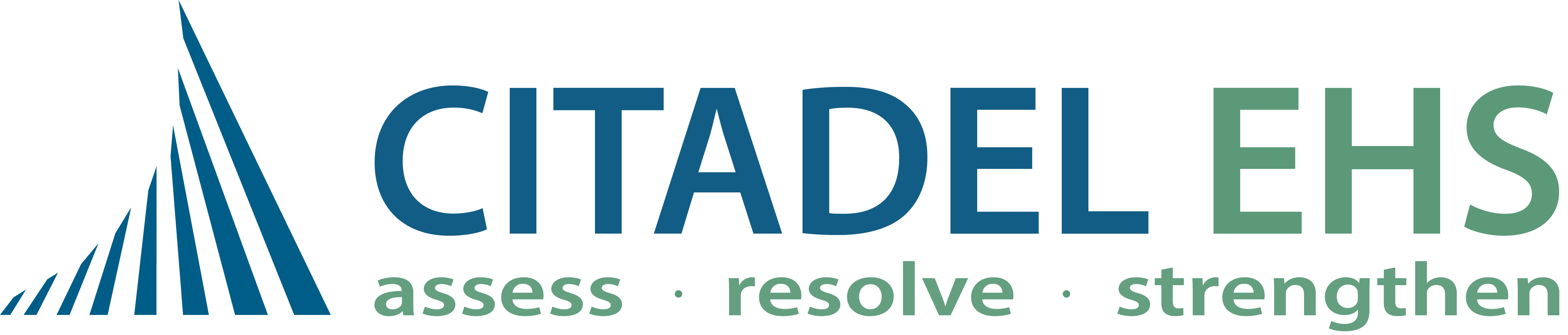 CITADEL ENVIRONMENTAL logo