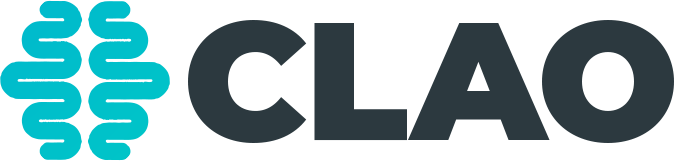 CLAO SOFTWARE LLC logo