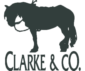 CLARKE & CO INC logo
