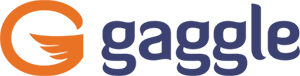 CLASSLINK INC logo