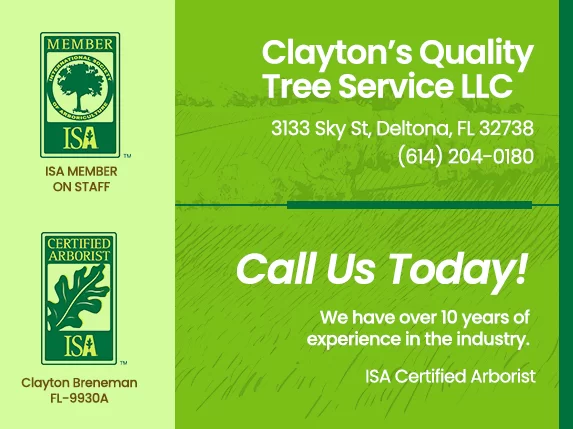 CLAYTONS QUALITY TREE SERVICE LLC logo