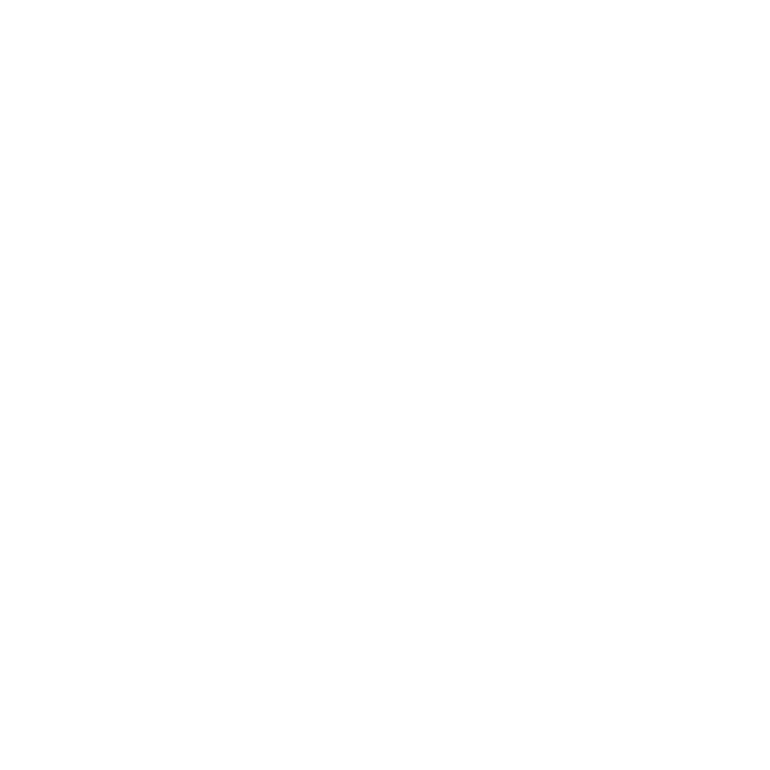CLEAN LIVING NATURAL CLEANERS LLC logo