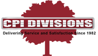 CLEAN PLUS INC logo