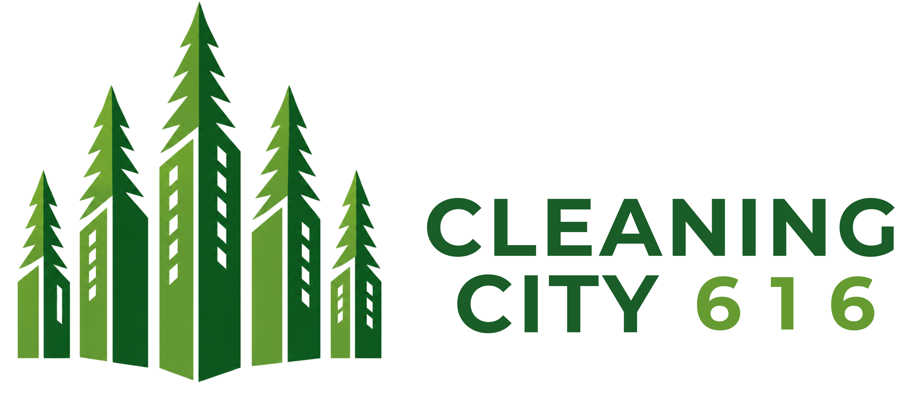 CLEANING CITY 616 L.L.C. logo