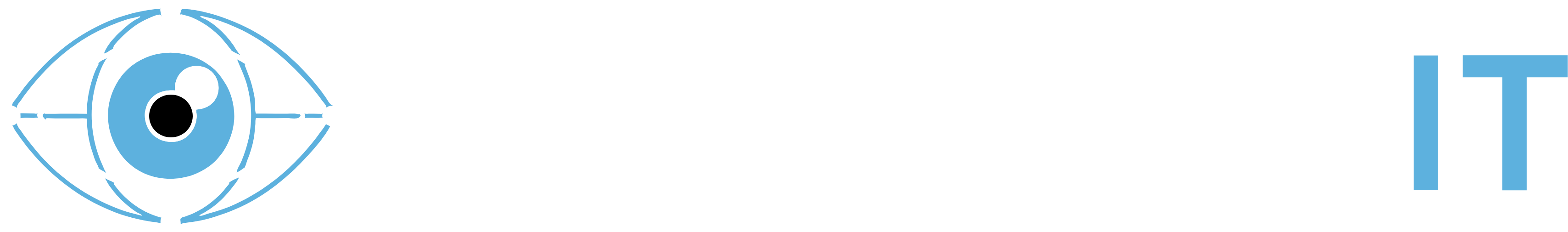 CLEARVISION IT LLC logo