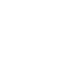 CLIMATE ADAPTATION PARTNERS logo