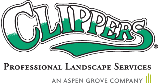 CLIPPERS LLC logo