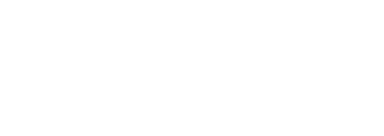 CLM INVESTIGATIONS LLC logo