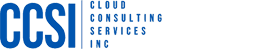 CLOUD CONSULTING SERVICES, INC. logo