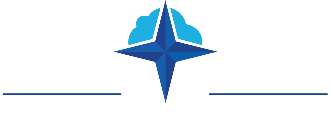CLOUD NAVIGATOR, INC. logo