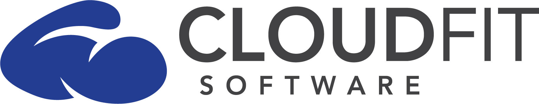 CLOUDFIT SOFTWARE, LLC logo