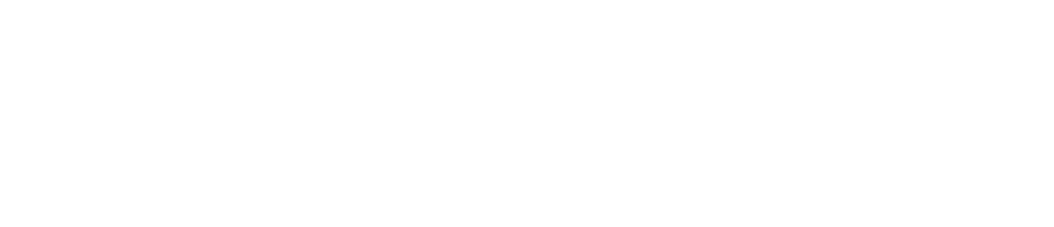 CMG CONSULTING LLC logo