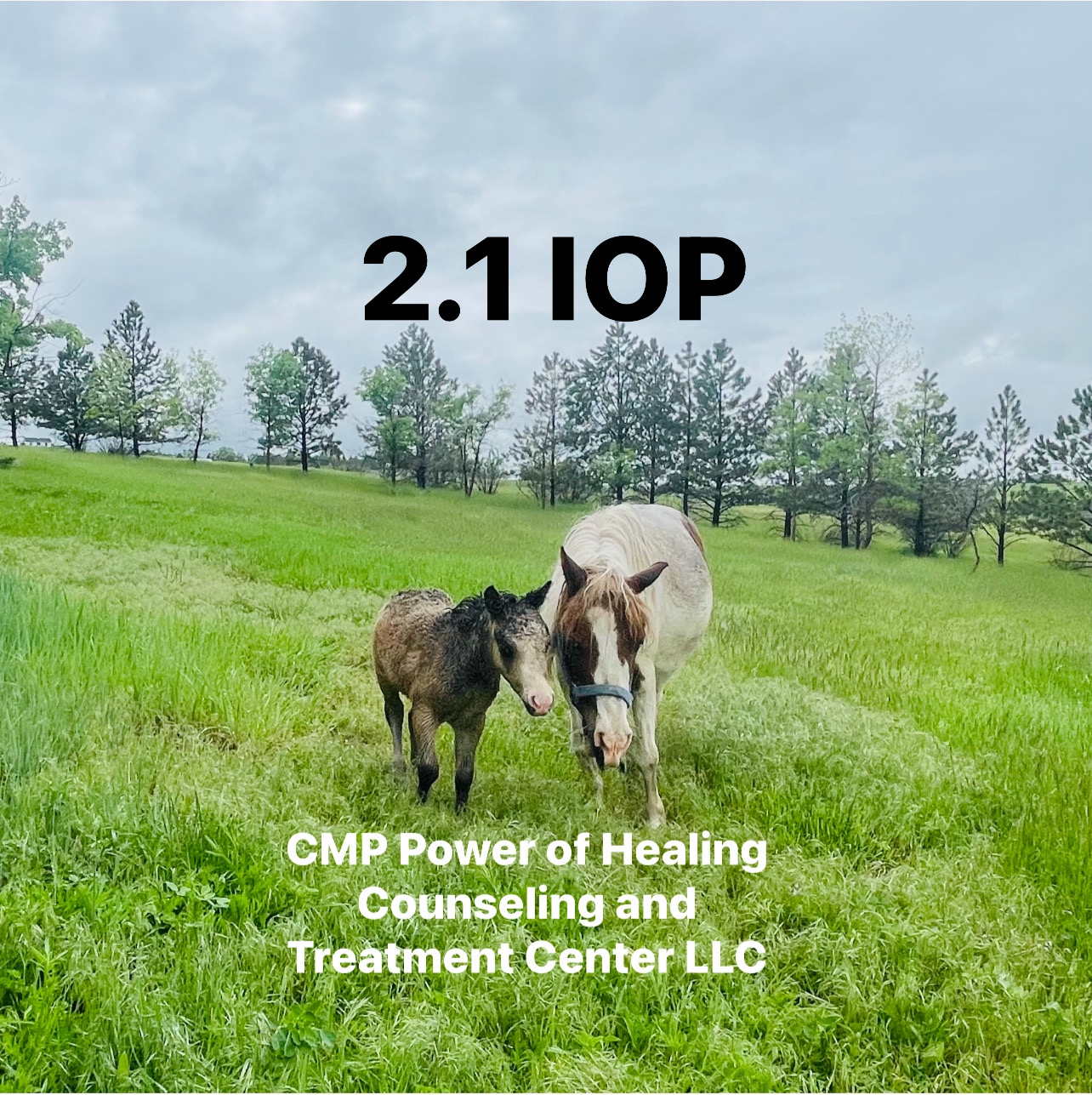 CMP POWER OF HEALING COUNSELING AND TREATMENT CENTER, LLC logo