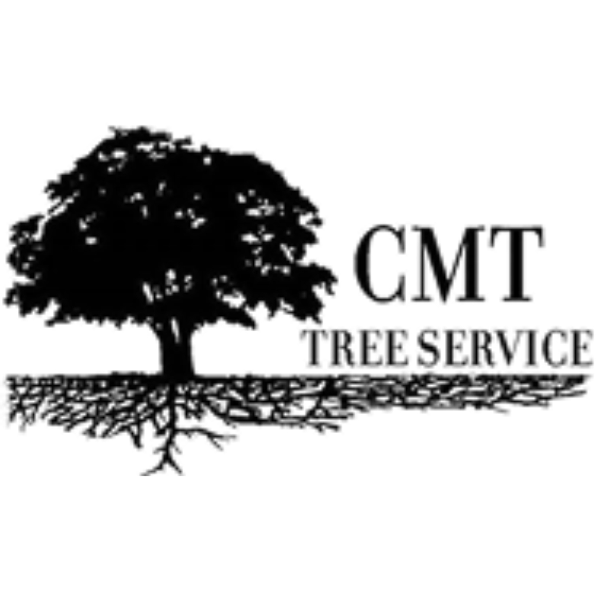 CMT PROFESSIONAL SERVICES, L.L.C. logo