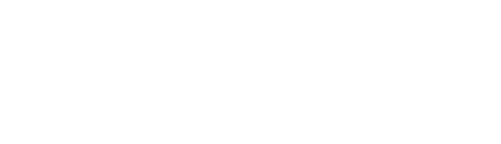 COASTAL FRONTIERS CORP logo