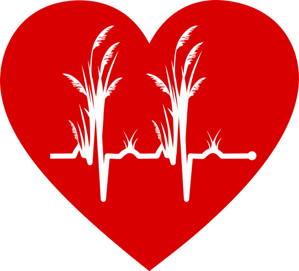 COASTAL GA. CPR, LLC logo