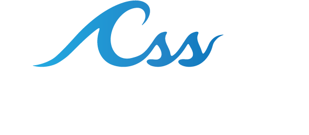 COASTAL SOFTWARE SOLUTIONS LLC logo