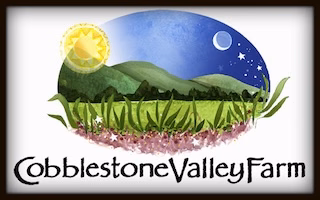 COBBLESTONE VALLEY ENTERPRISES LLC logo