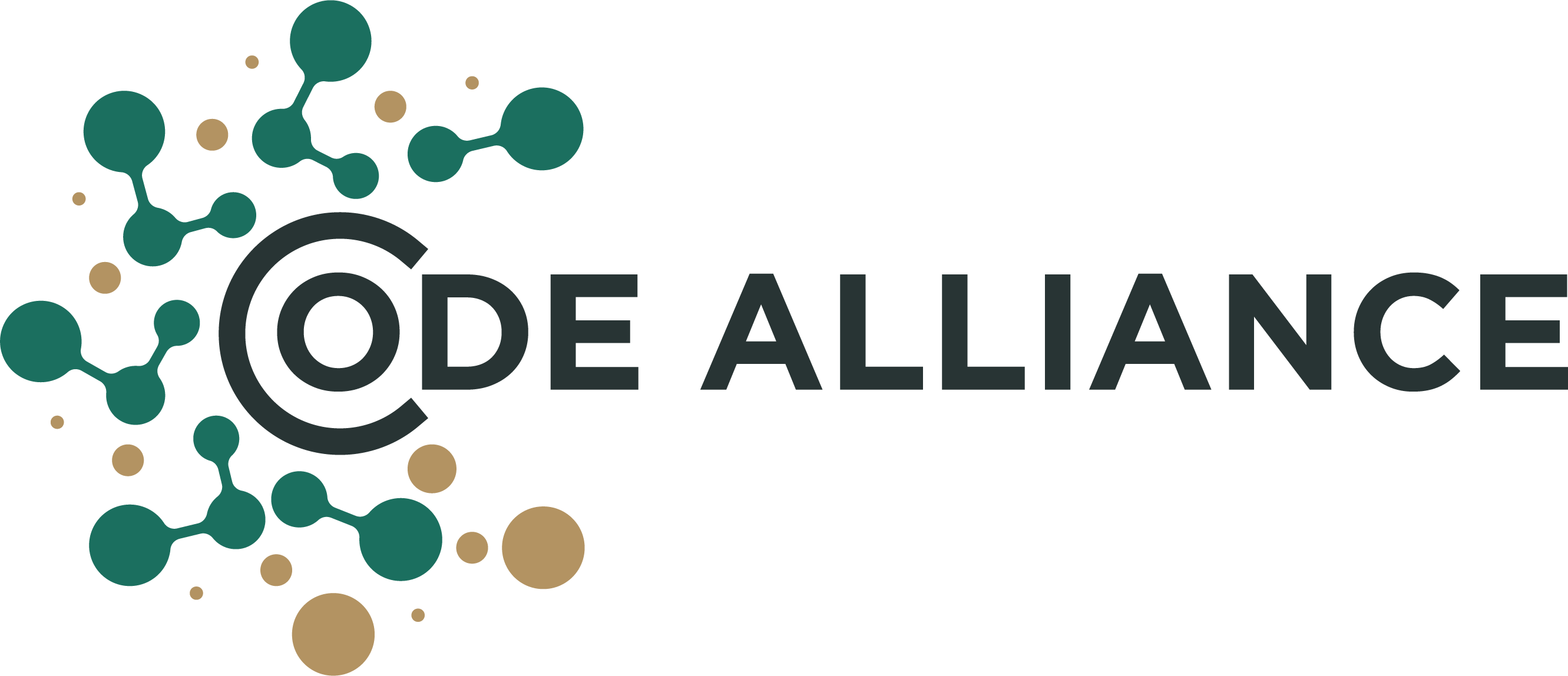 CODE ALLIANCE LLC logo