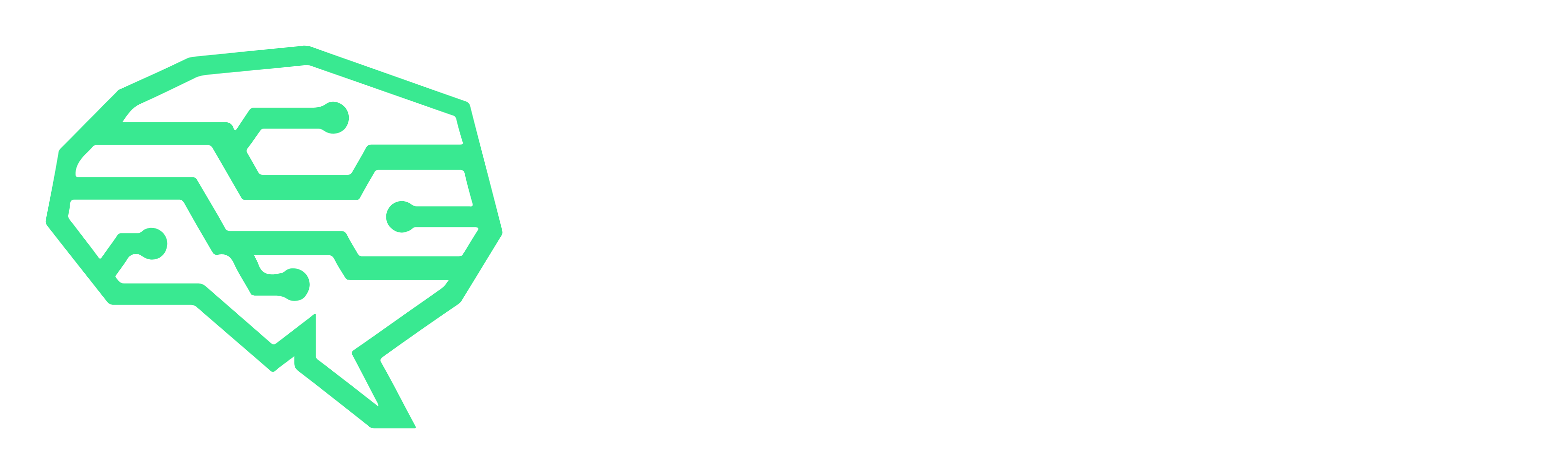 CODIFYIQ LLC logo