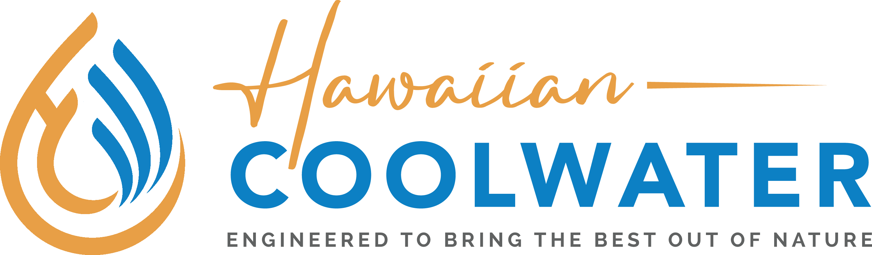 COFFEE SYSTEMS HAWAII logo