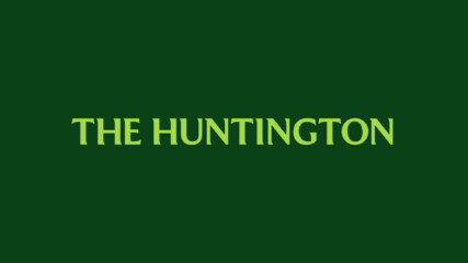 COGNITIVE APPLICATIONS INC logo
