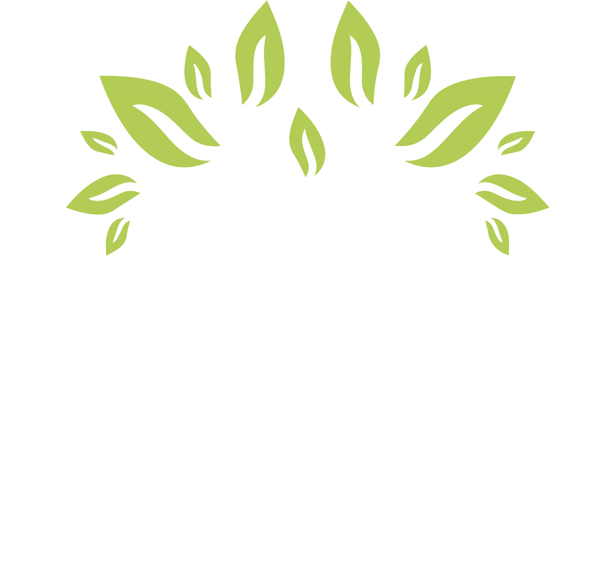 COLLABORATIVE THERAPEUTIC SERVICES LLC logo