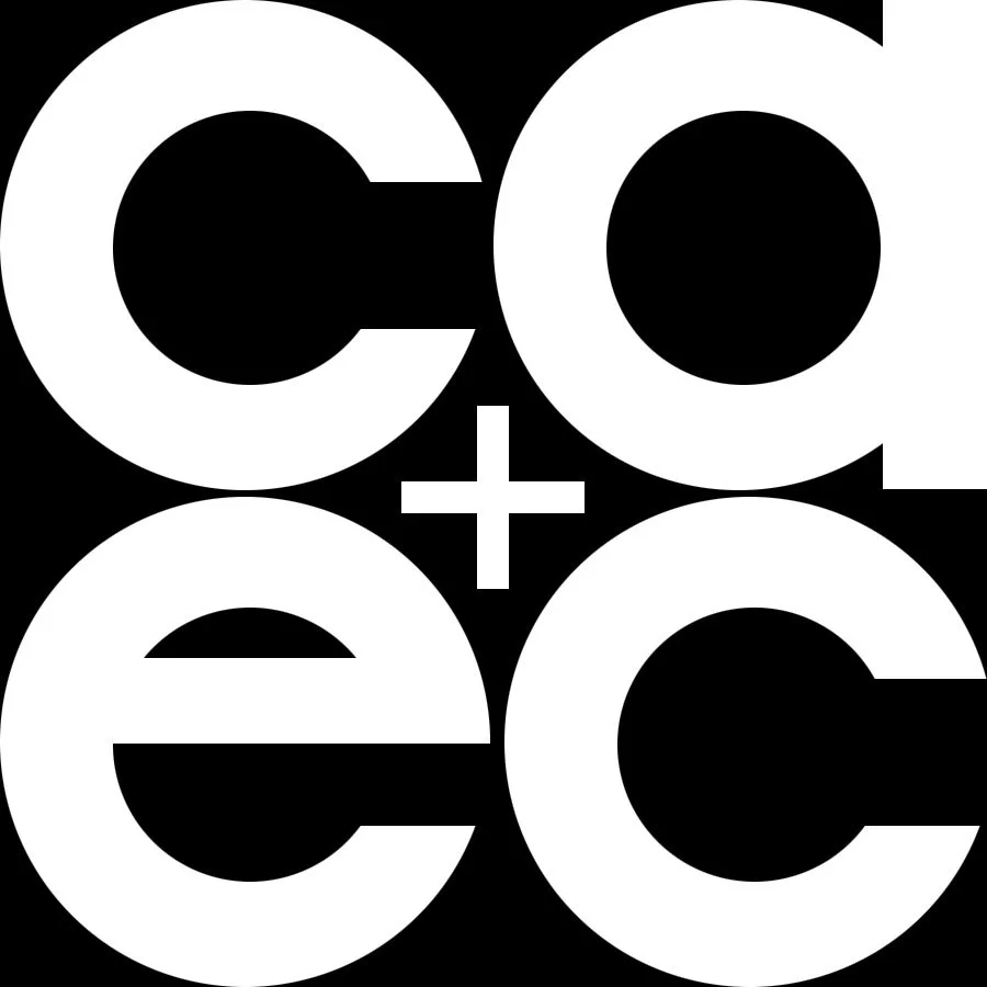 COLLINS ARCHITECTURE + ENERGY CONSERVATION LLC logo