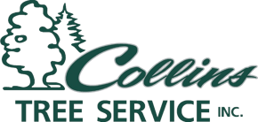 COLLINS TREE SERVICE, INC logo