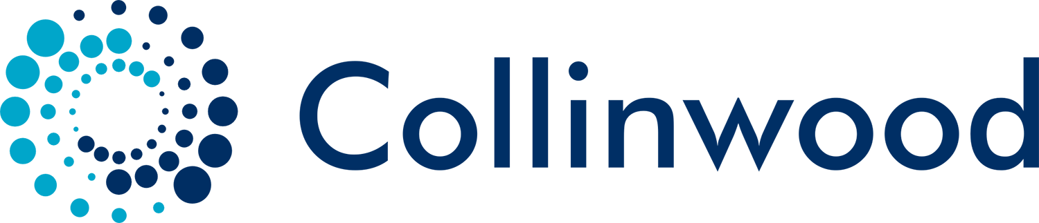 COLLINWOOD TECHNOLOGY PARTNERS, LLC logo