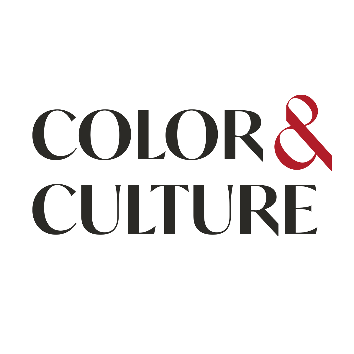 COLOR & CULTURE INC logo