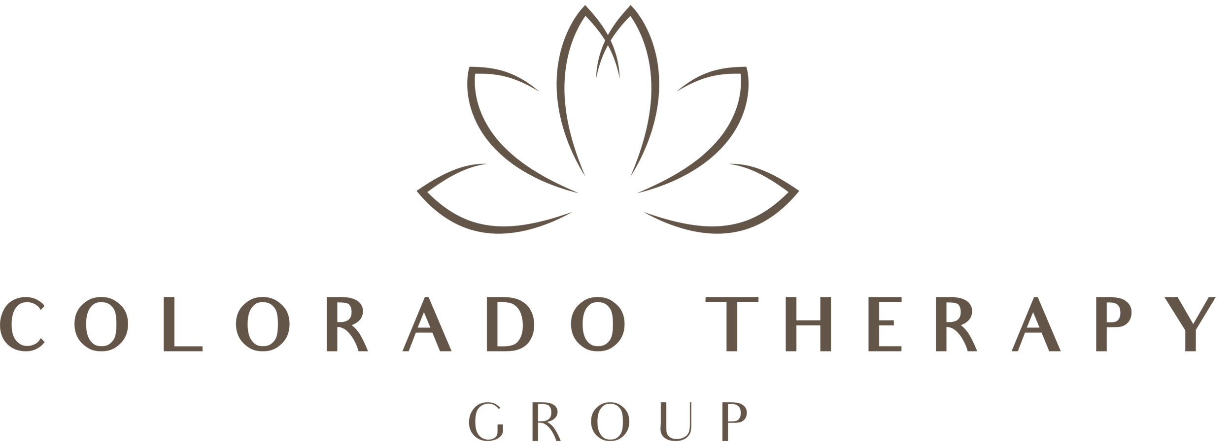 COLORADO THERAPY GROUP, LLC logo