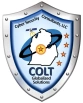 COLT CYBER SECURITY CONSULTANTS LLC logo
