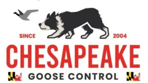 COME-BYE GOOSE CONTROL, LLC logo