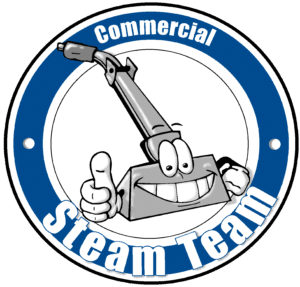 COMMERCIAL STEAM TEAM, INC logo