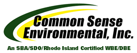 COMMON SENSE ENVIRONMENTAL INC logo
