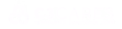 COMMUNITY CONCIERGE CARE LLC logo
